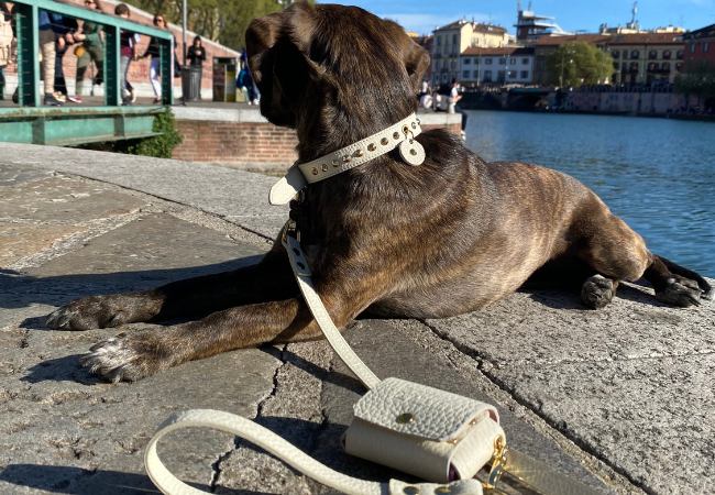 Snug&Fit, Collari Guinzagli Pettorine artigianali
