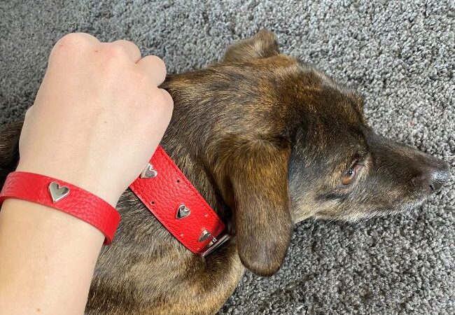 Rosso e Cuori, la nuova collezione Snug&Fit all’insegna dell’amore e del romanticismo