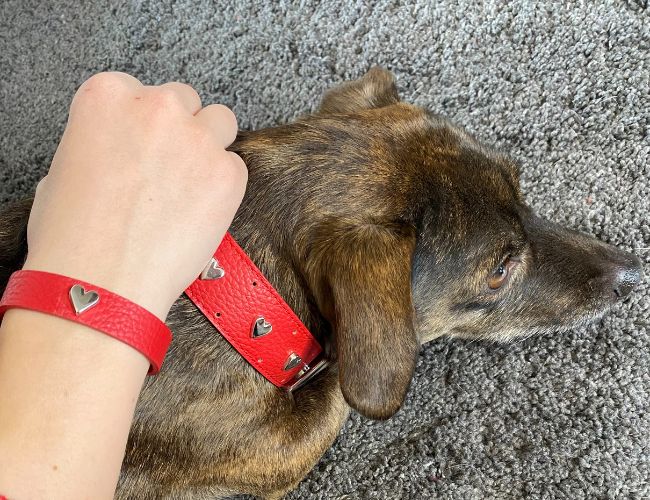 Rosso e Cuori, la nuova collezione Snug&Fit all’insegna dell’amore e del romanticismo