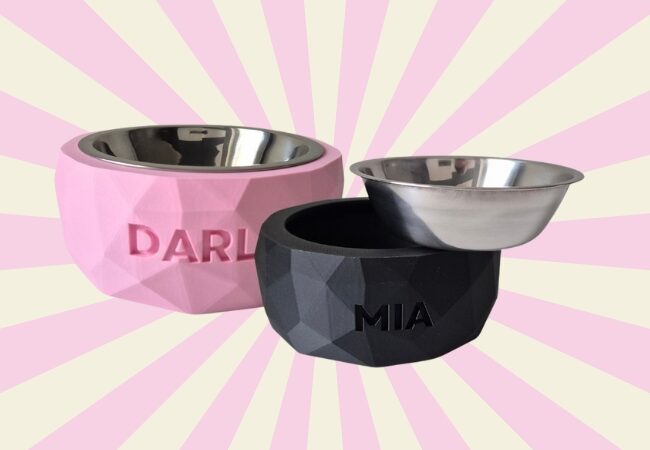 ART BOWL Snug&Fit: la nuova ciotola personalizzata che unisce design, innovazione e amore per il tuo pet