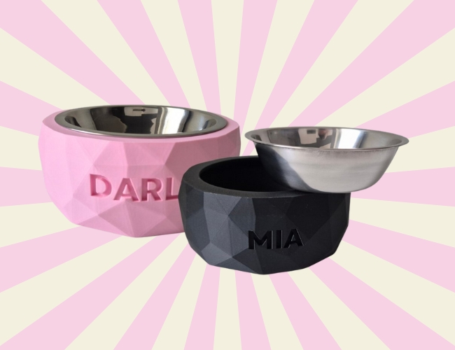 ART BOWL Snug&Fit: la nuova ciotola personalizzata che unisce design, innovazione e amore per il tuo pet