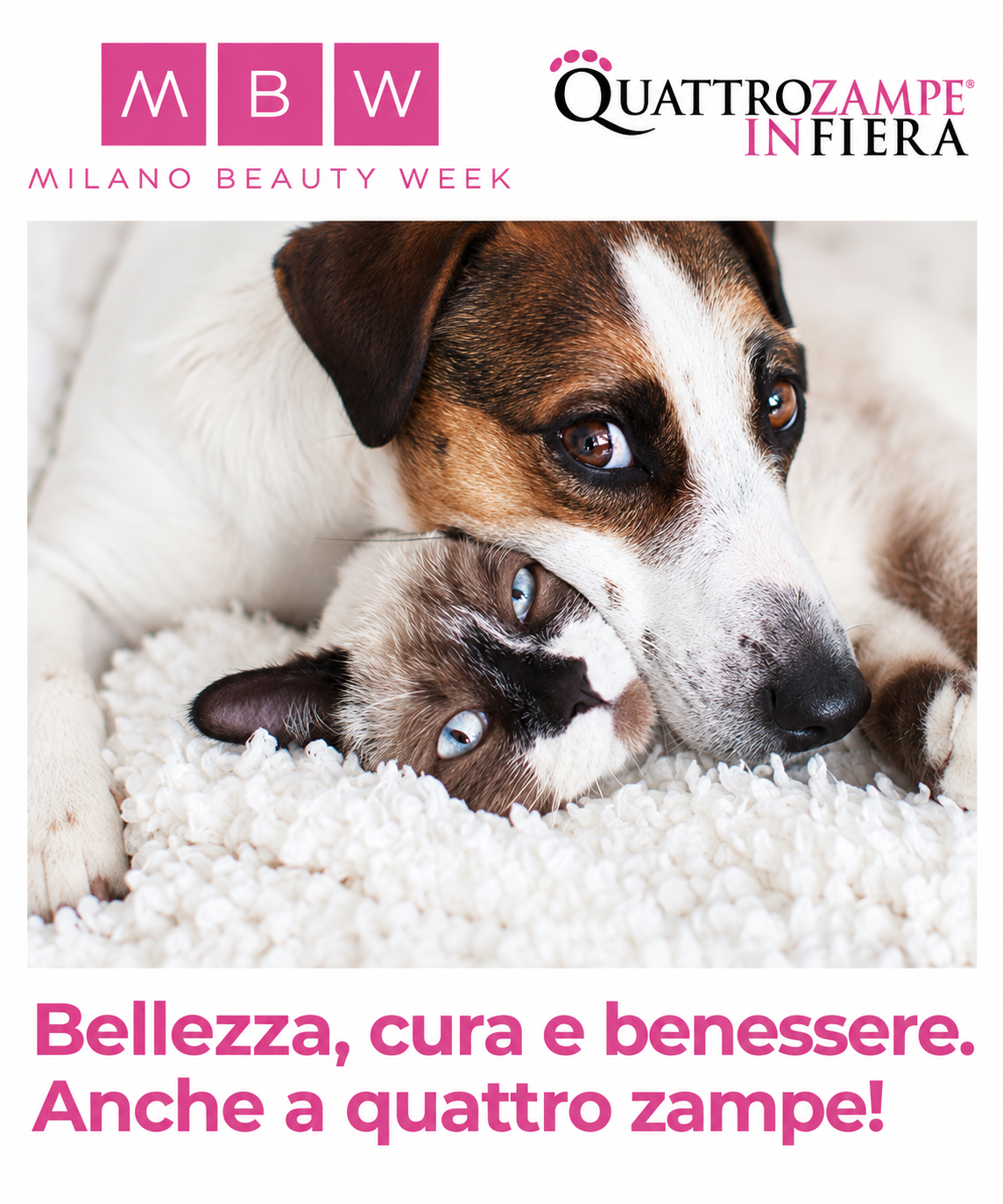 Torna Quattrozampeinfiera a Milano!