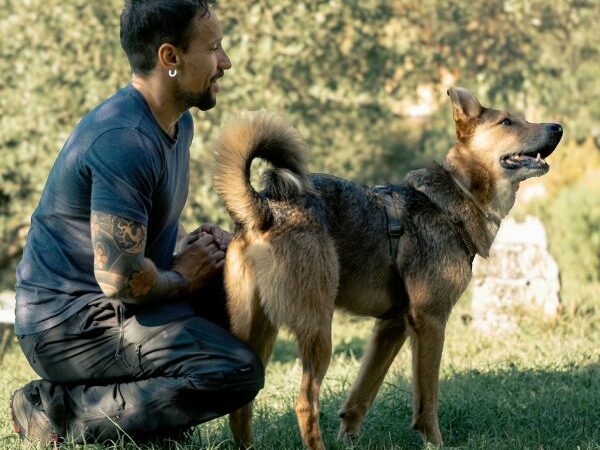 Cosa serve ai nostri cani per vivere felici