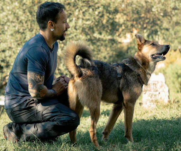 Cosa serve ai nostri cani per vivere felici